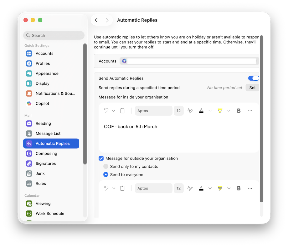 Automatic Replies window