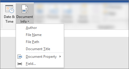 Screenshot showing Document Info and Date & Time buttons on the Word ribbon